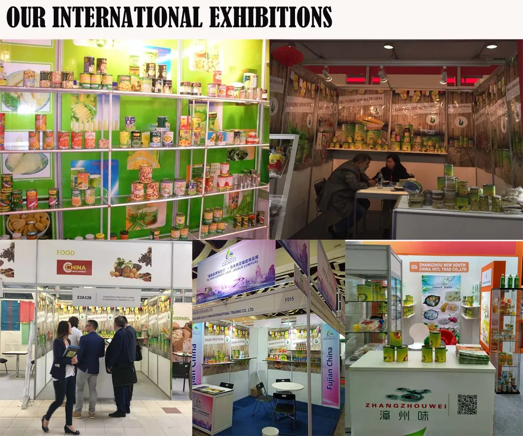 Supply Glass Noodles Silk Noodles Hot Sell Sweet Potato Vermicelli