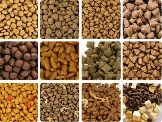 High-Protein Poultry Nutrition Feed for Maximum Growth Potential