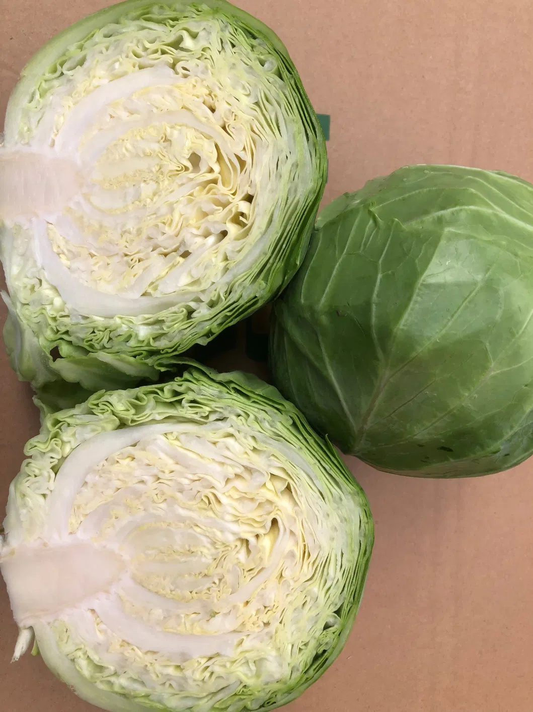 Fresh Chinese Green/White/Beijing/Red Cabbage