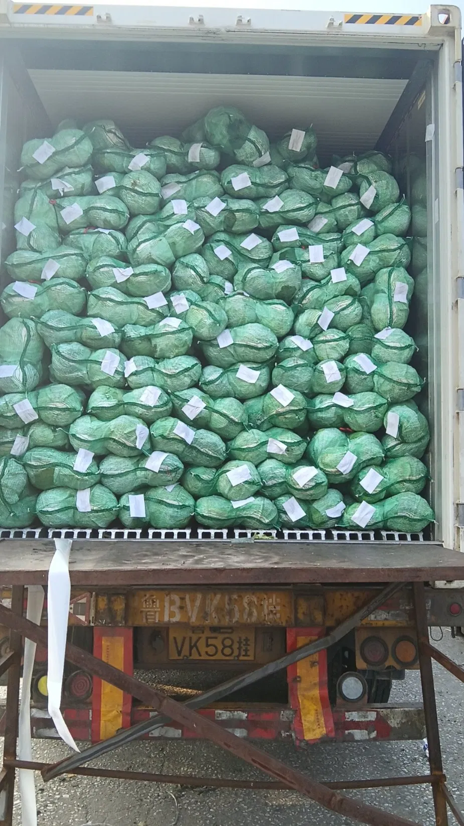 Fresh Chinese Green/White/Beijing/Red Cabbage