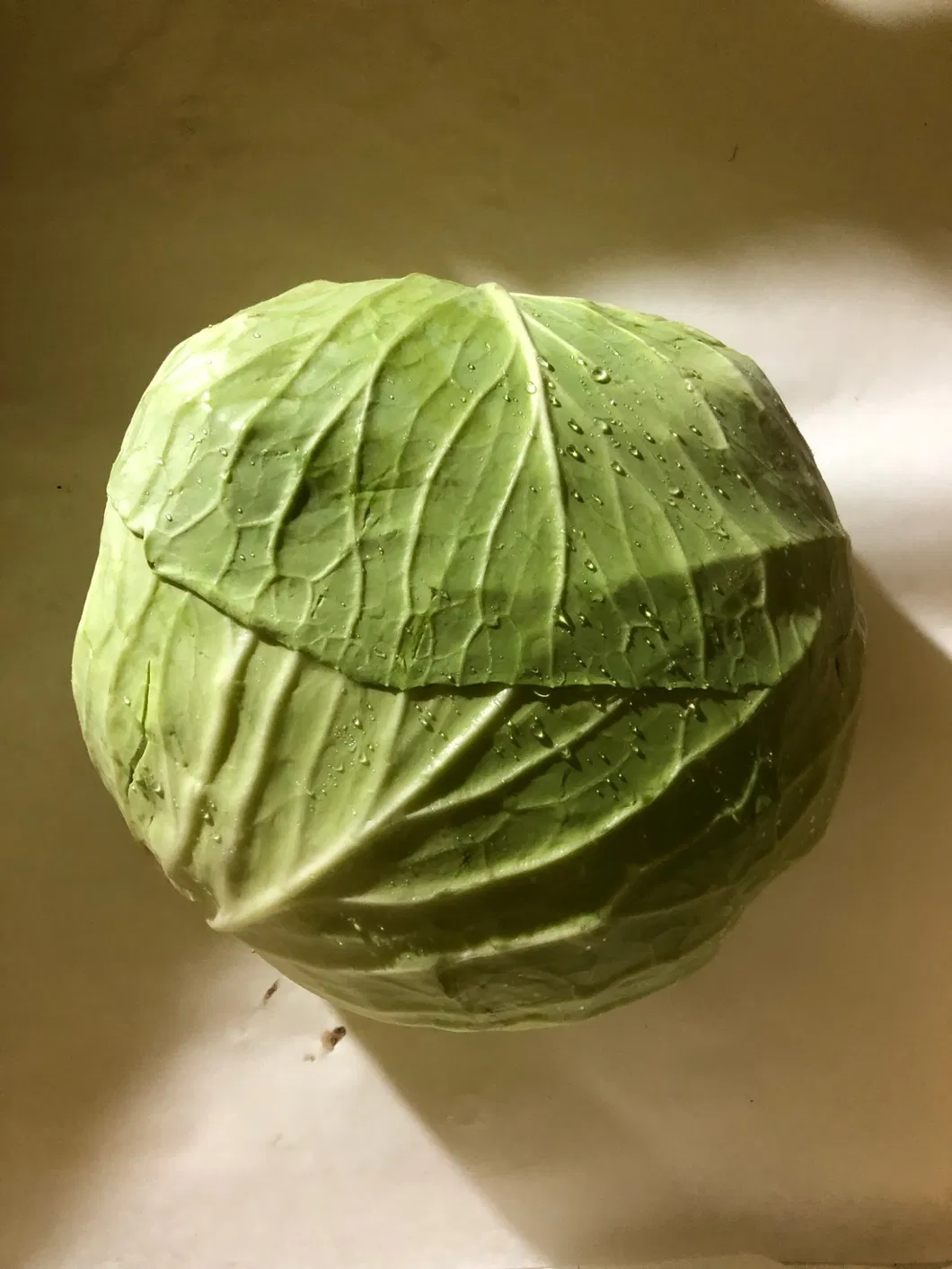 Fresh Chinese Green/White/Beijing/Red Cabbage