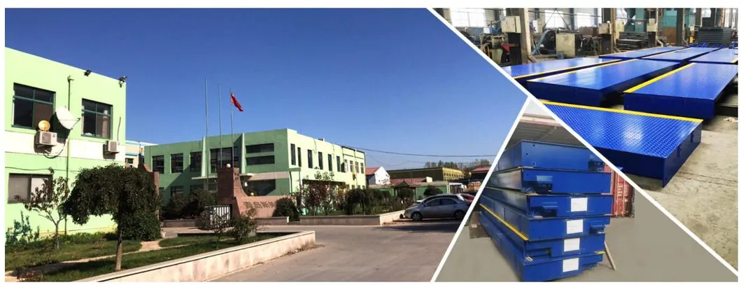 Factory Price Animal Weighing Scale 300kgs 500kgs 2000kgs Livestock Scale for Pig Cattle