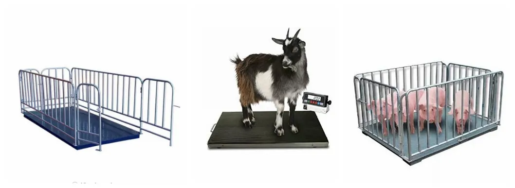 Factory Price Animal Weighing Scale 300kgs 500kgs 2000kgs Livestock Scale for Pig Cattle