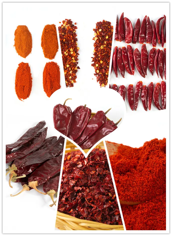 New Crop Chaotian Chili From China