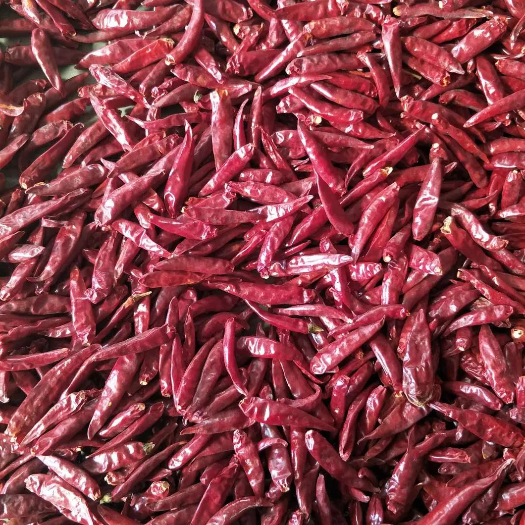 New Crop Chaotian Chili From China