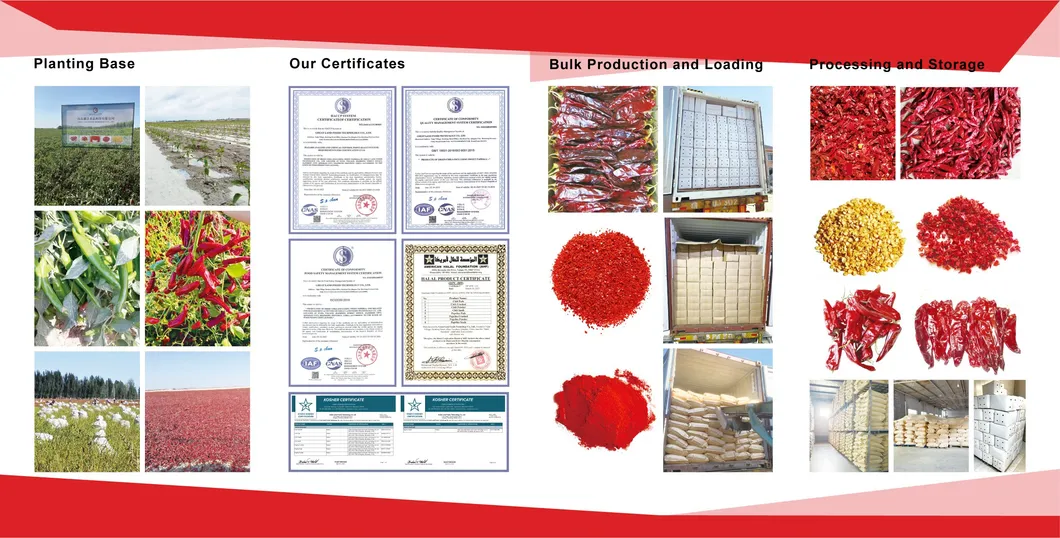 New Crop Chaotian Chili From China