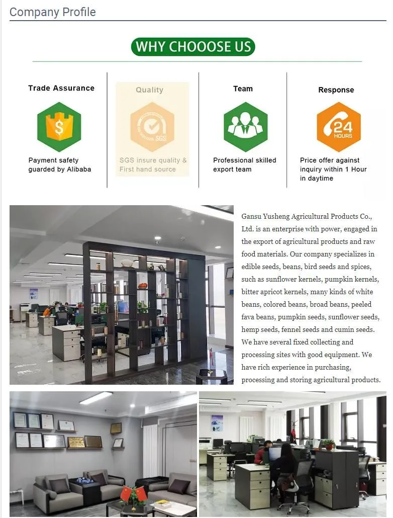 Competitive Price of Raw Arabica Coffee Beans Wholesale Green Coffee Beans