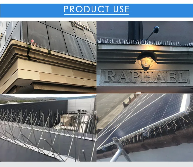 Birds Deterrent Control Stainless Steel Pins and Base Anti Pigeon Bird Spikes