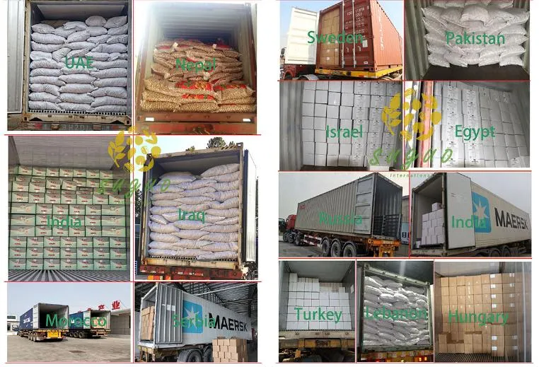 High Quality 185 Walnut Inshell Stocks Sale at The Factory Price