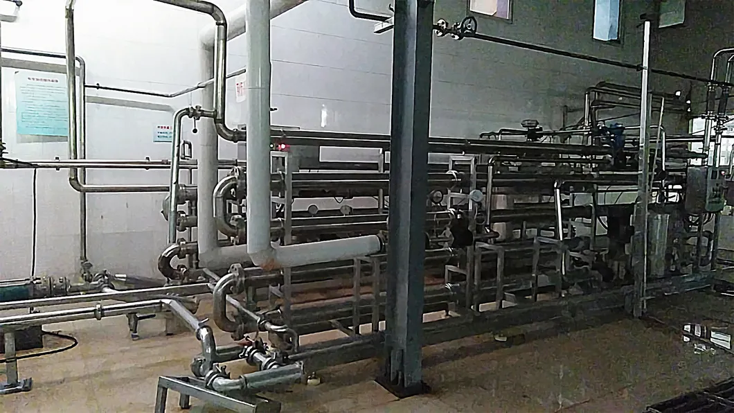 800g Best Brand Organic Canned Tomato Paste Manufacturer with Best Price