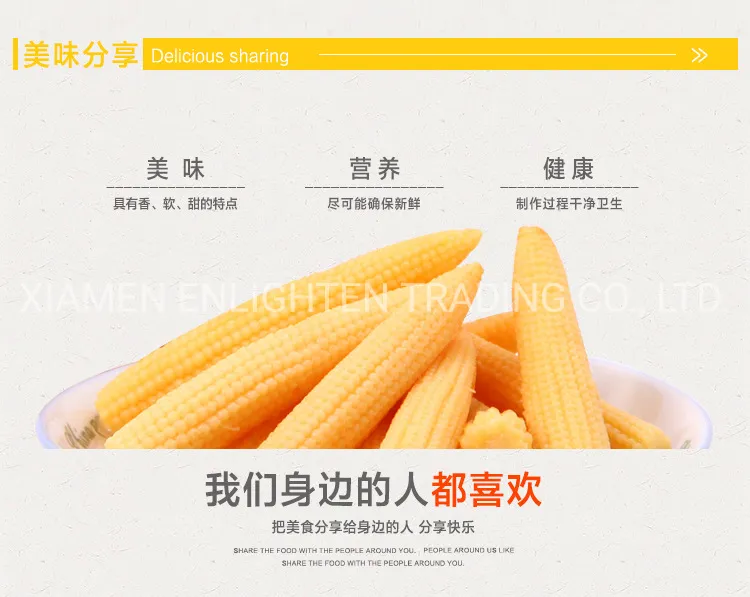 Fresh Canned Baby Corn Spear in Brine