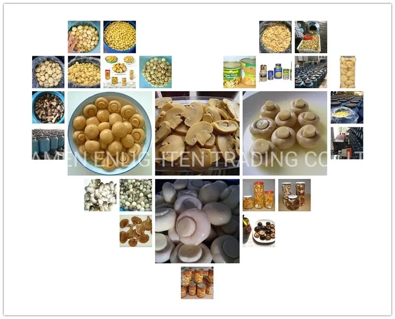 Fresh Canned Baby Corn Spear in Brine