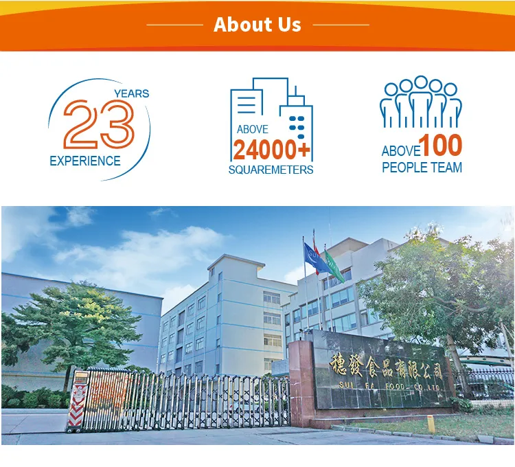 Factory Direct Price Bulk Herbal Natural Coffee Fruity Guangdong Chewing Gum Manufacturer