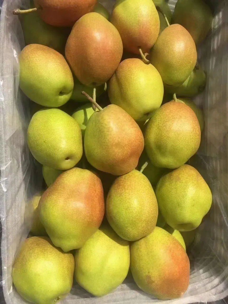 2024 Western Pear Big Head Pear Fresh Pear Comis Red Pear in China