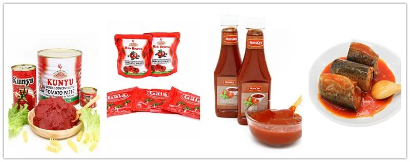 36-38% Tomato Paste Factory Tomato Sauce Supply with High Quality