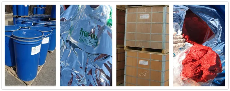 36-38% Tomato Paste Factory Tomato Sauce Supply with High Quality