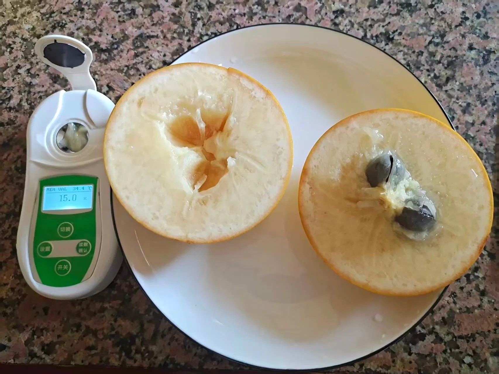 Different Types and Sizes Pouteria Caimito Sweet Abiu Fruit Tree Outdoor Plant Wholesale