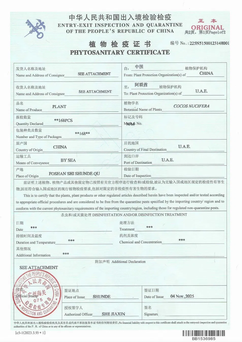 Different Types and Sizes Pouteria Caimito Sweet Abiu Fruit Tree Outdoor Plant Wholesale