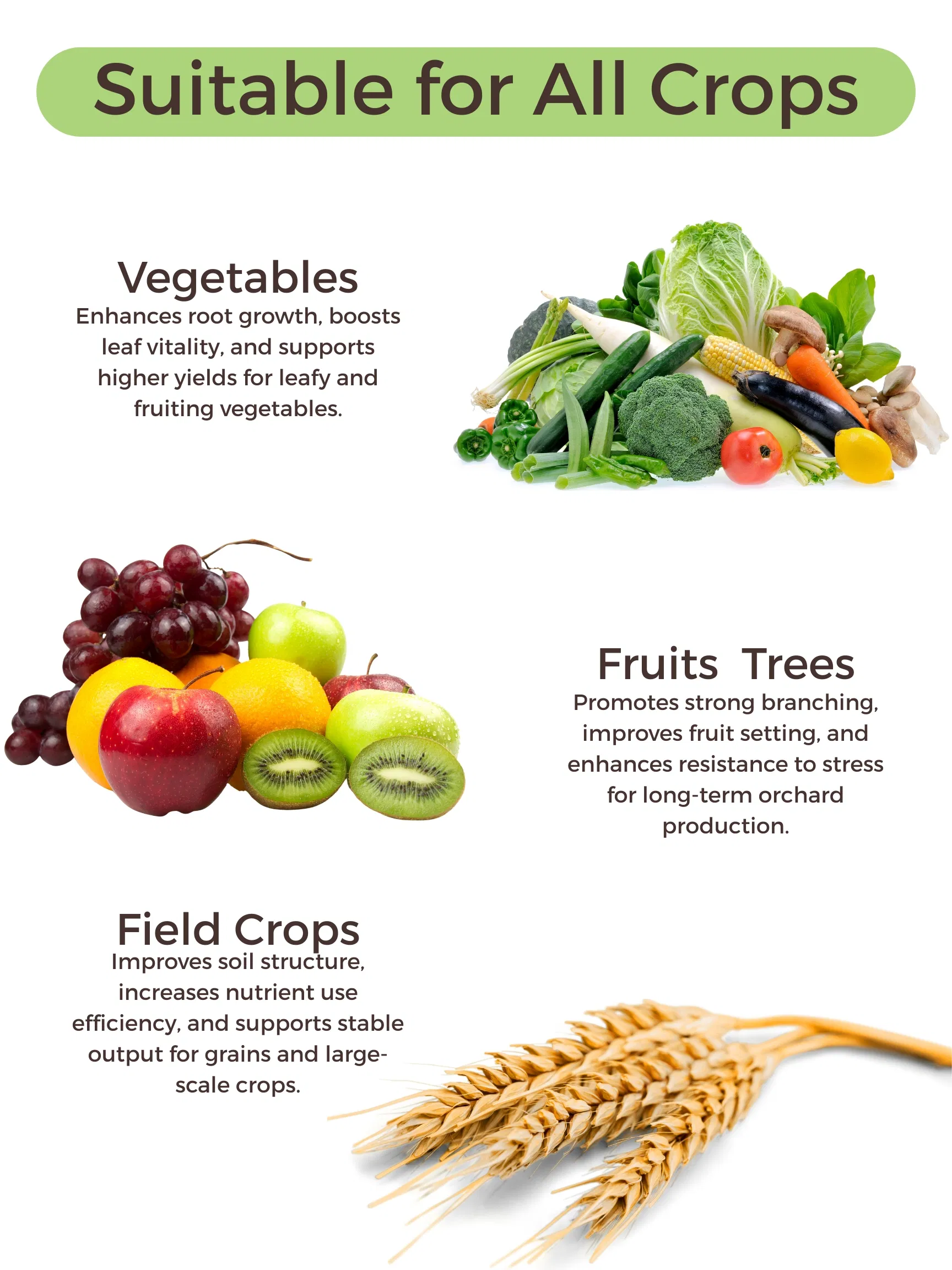 Water Soluble Seaweed Kelp Extract Fertilizer Omri Organic Bio Plant Nutrition