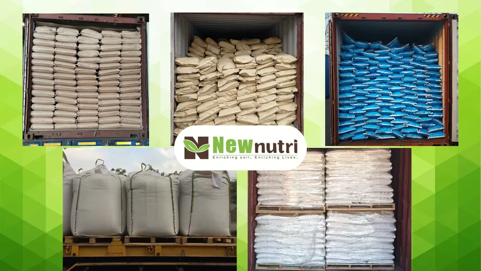 Water Soluble Seaweed Kelp Extract Fertilizer Omri Organic Bio Plant Nutrition