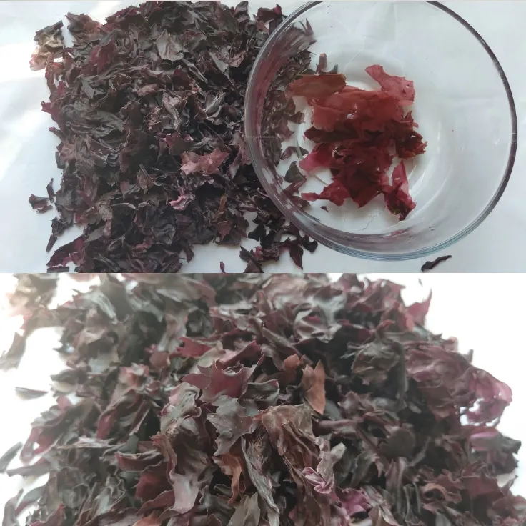 Dried Dulse Flakes Traditional Seaweed Stock