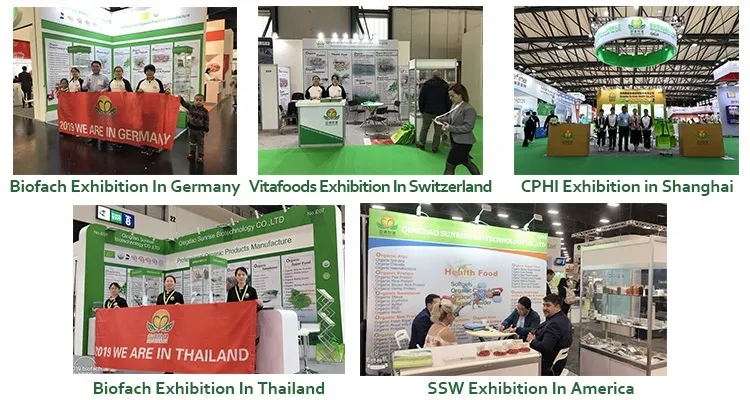 OEM GMP Amazon Hot Selling Lower Price Lyophilized Royal Jelly Powder