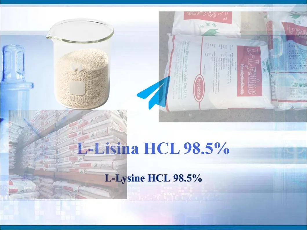 Best Quality Feed Additive L-Lysine Hydrochloride 98.5% Meihua, Golden Corn, Eppen Brand
