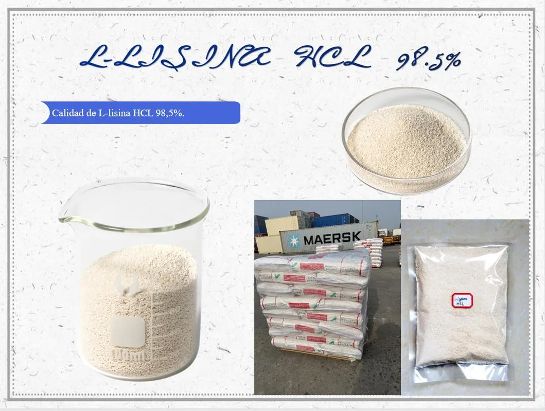 Best Quality Feed Additive L-Lysine Hydrochloride 98.5% Meihua, Golden Corn, Eppen Brand