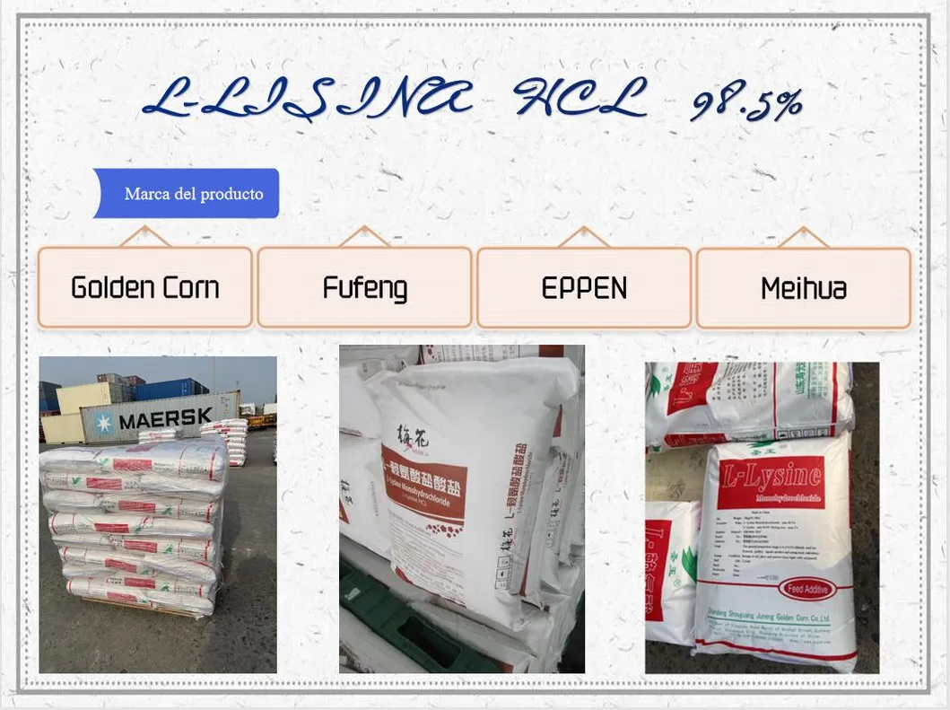 Best Quality Feed Additive L-Lysine Hydrochloride 98.5% Meihua, Golden Corn, Eppen Brand