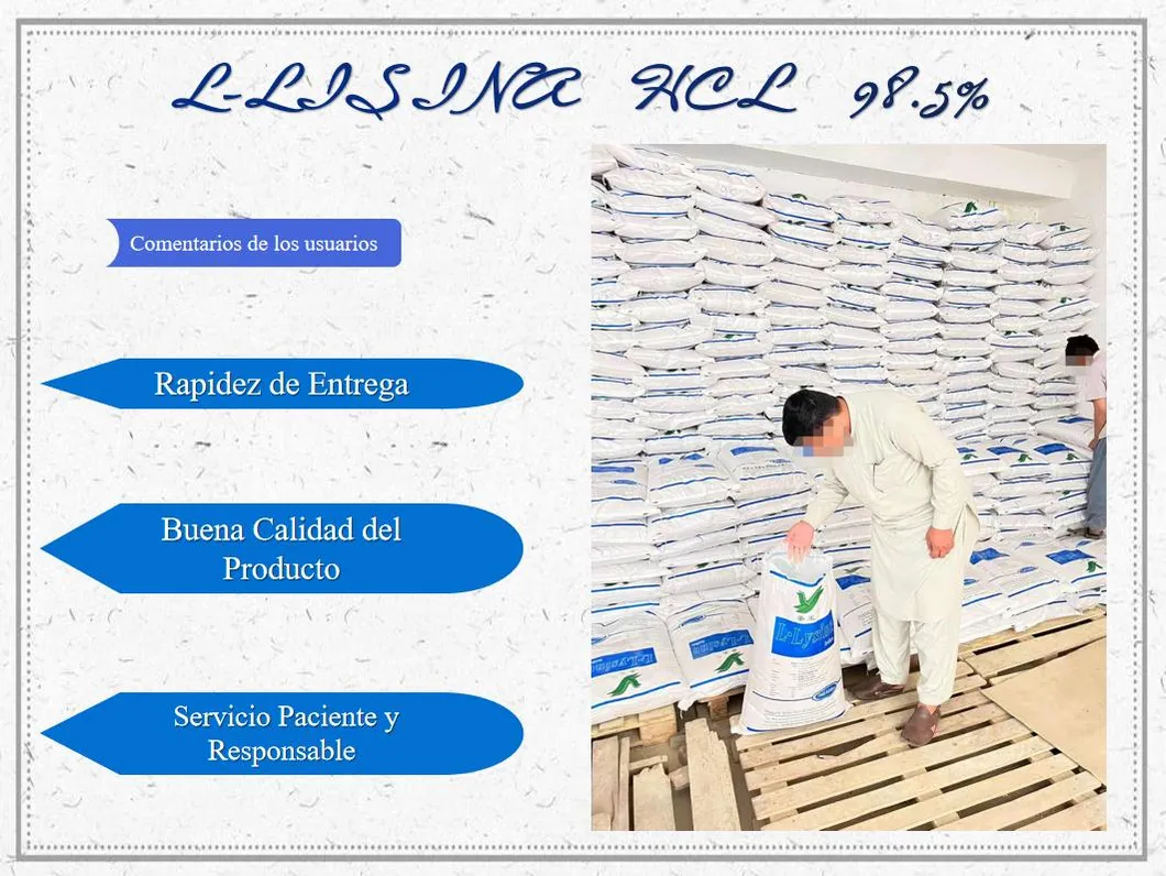 Best Quality Feed Additive L-Lysine Hydrochloride 98.5% Meihua, Golden Corn, Eppen Brand