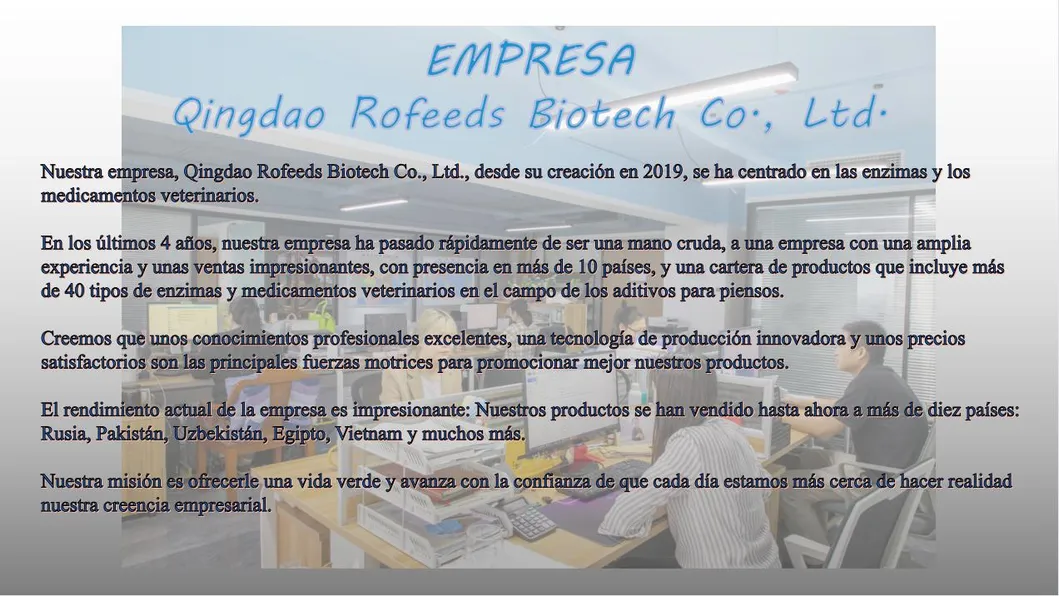 Best Quality Feed Additive L-Lysine Hydrochloride 98.5% Meihua, Golden Corn, Eppen Brand