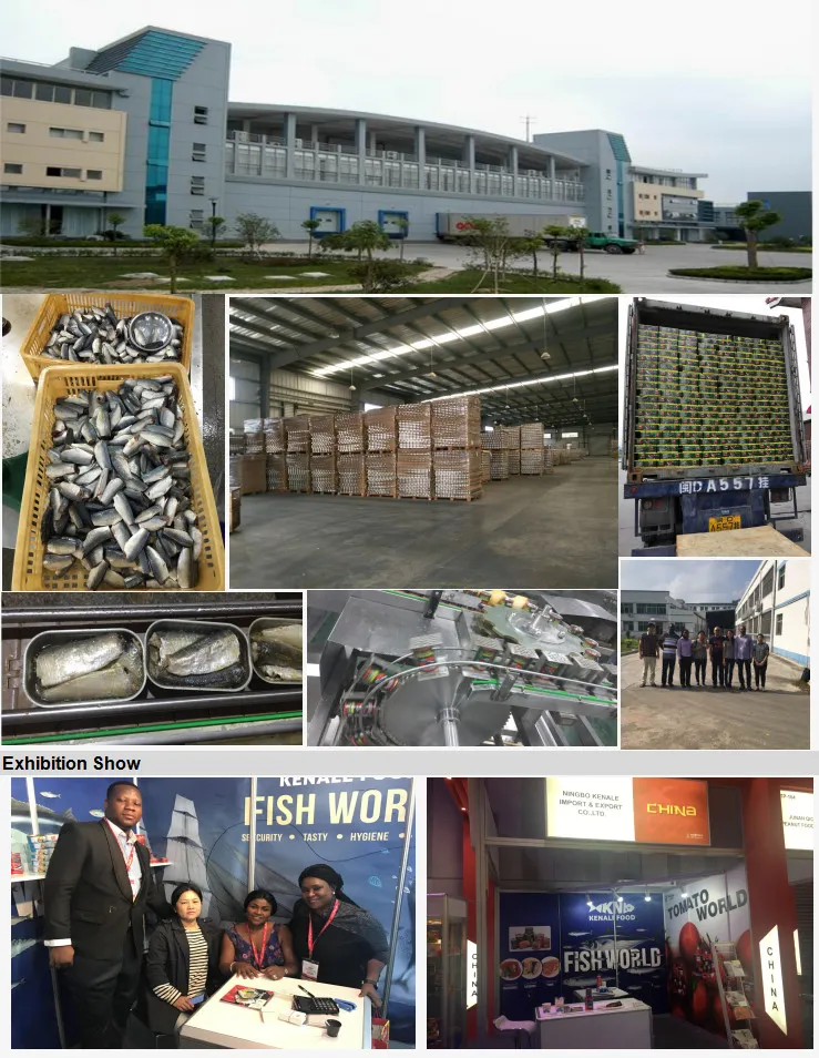Pacific Mackerel Canned Food Fish Mackerel Prices 425gx24tinsno Mackerel Supplier in China