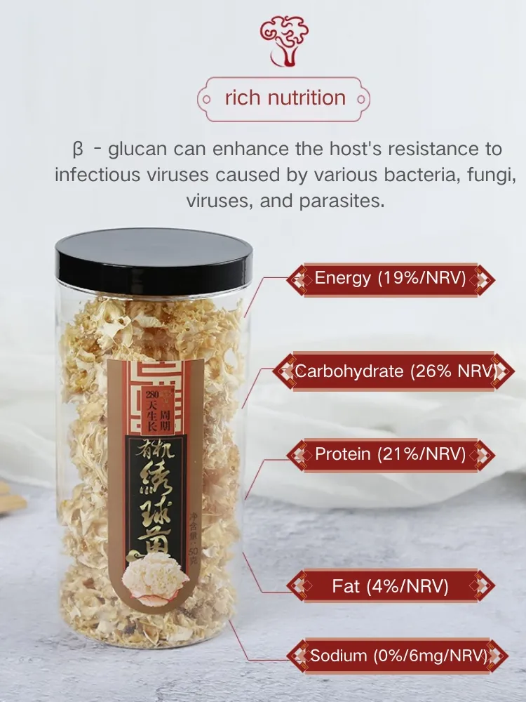 Premium Sparassis Crispa Dried Mushrooms for Gourmet Gift Baskets