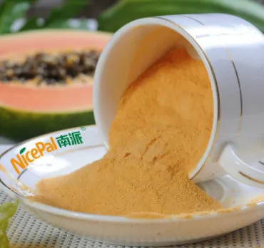 Natural Spray Dried Papaya Powder / Papaya Vegetable Powder