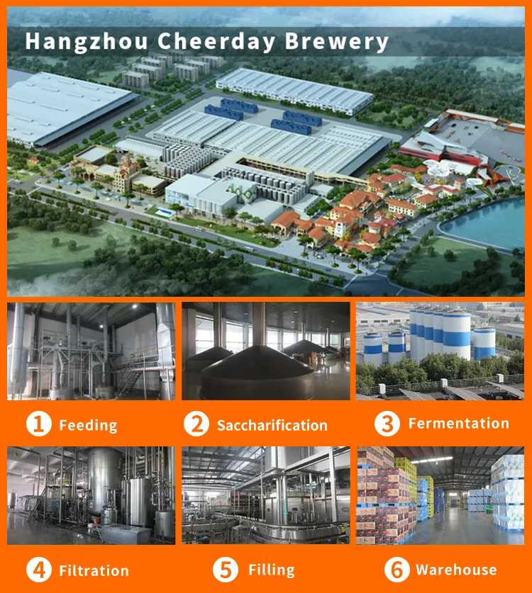 High Quality 500ml*24cans Abv 8% China OEM Brewery Canned Beer for Export