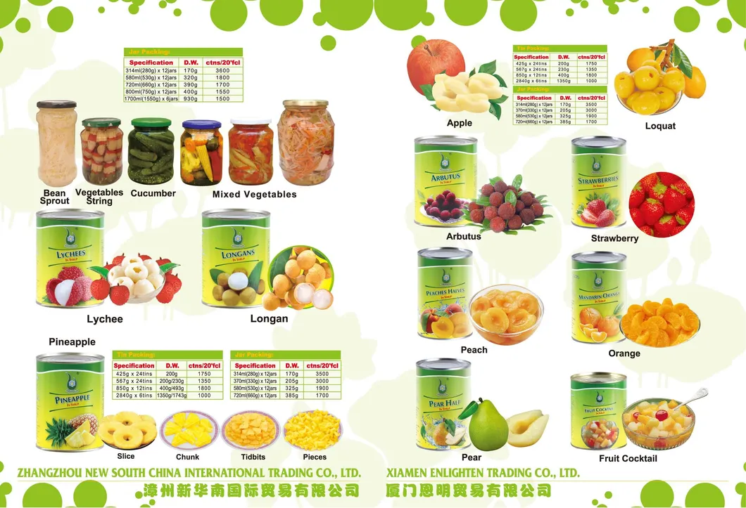 Arabic Favorite Canned Broad Beans Fava Beans in Brine Water OEM