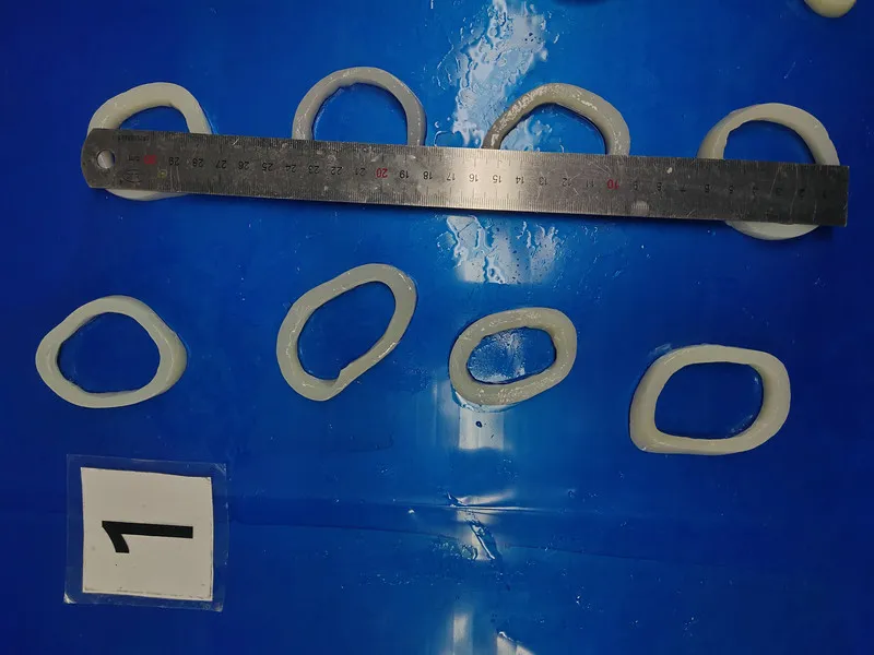 Frozen Squid Ring/Anillas De Pota/Illex Squid Ring/Gigas Squid Ring