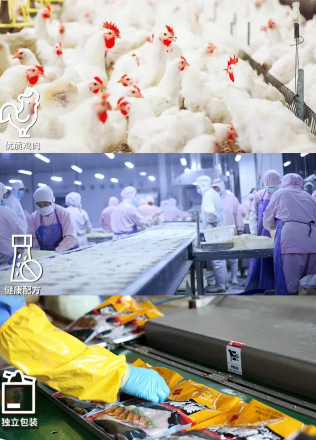 Ready-to-Eat Rice Mushroom Sauce Wholesale