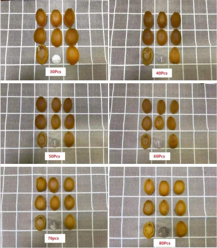 N09 Cheap Price Good Quality Nutritious 500g Seafood Shellfish Dried Abalone