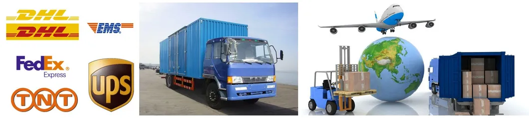 N09 Cheap Price Good Quality Nutritious 500g Seafood Shellfish Dried Abalone