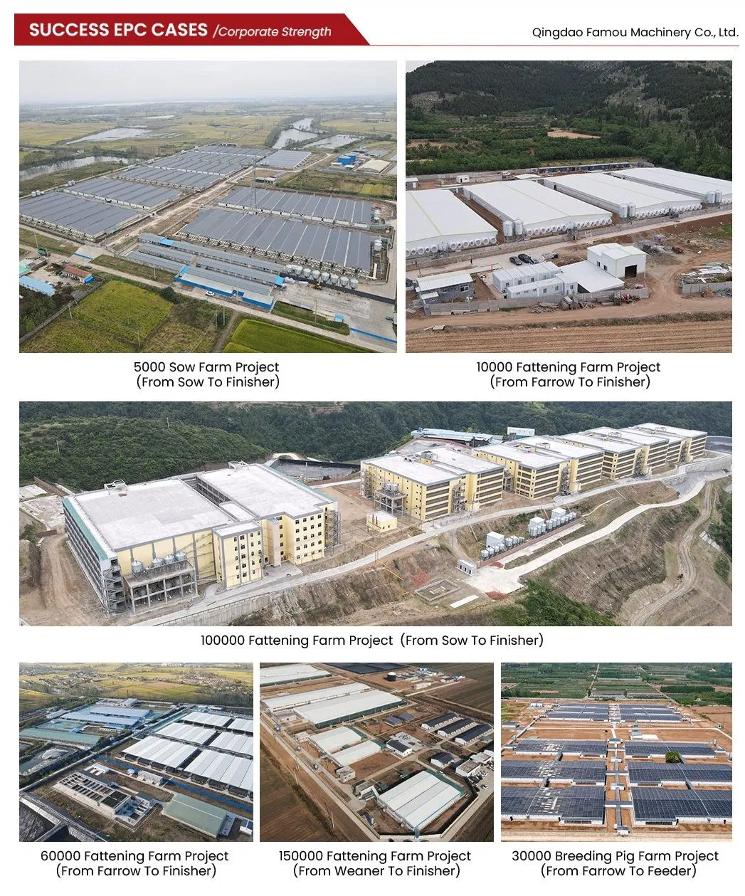 Famou Livestock Equipment Fattening Pen for Modern Pig Farming