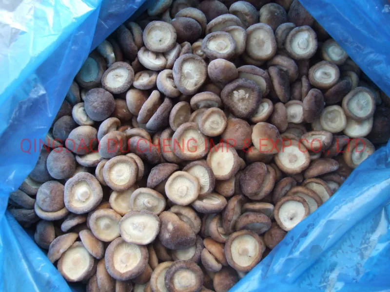 Frozen Shiitake Mushrooms Frozen Dried Mushroom