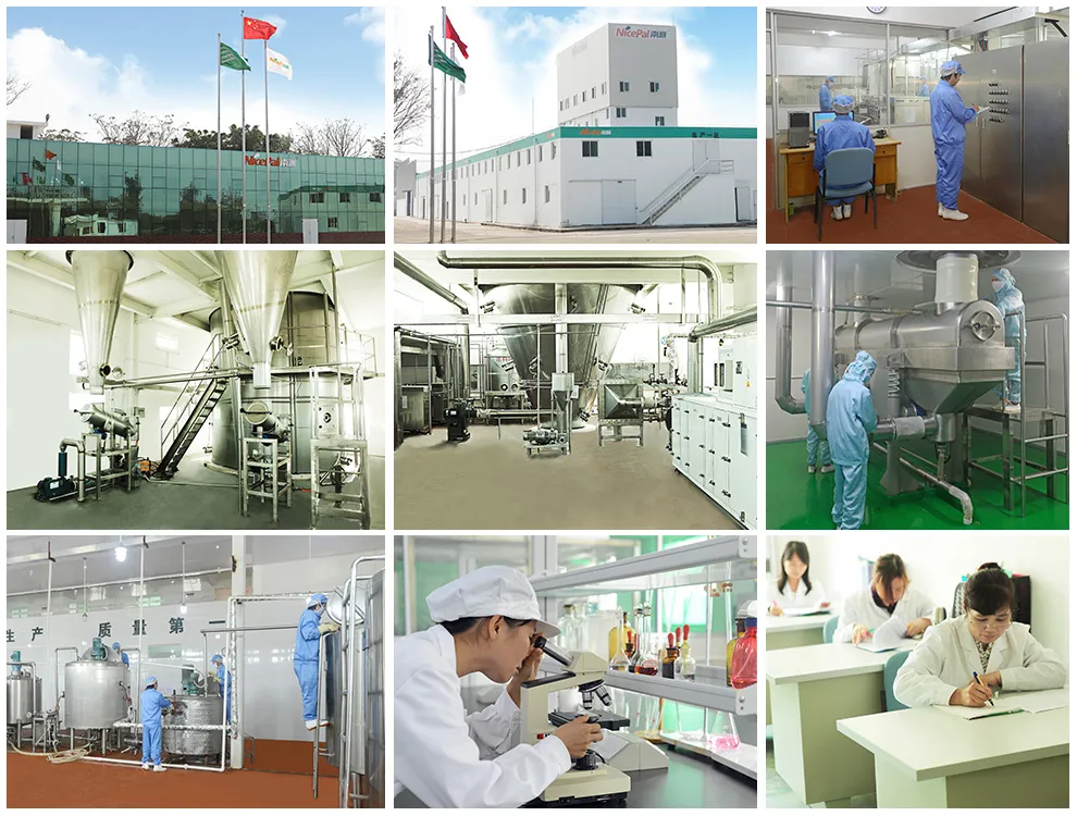 Water Soluble Pineapple Juice Powder