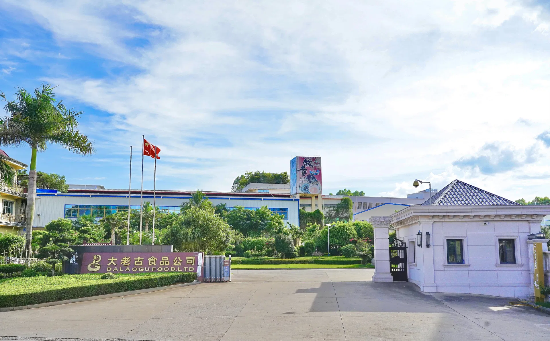 Certificated Tofu Stick Chinese High Quality Dried Soybean Stick