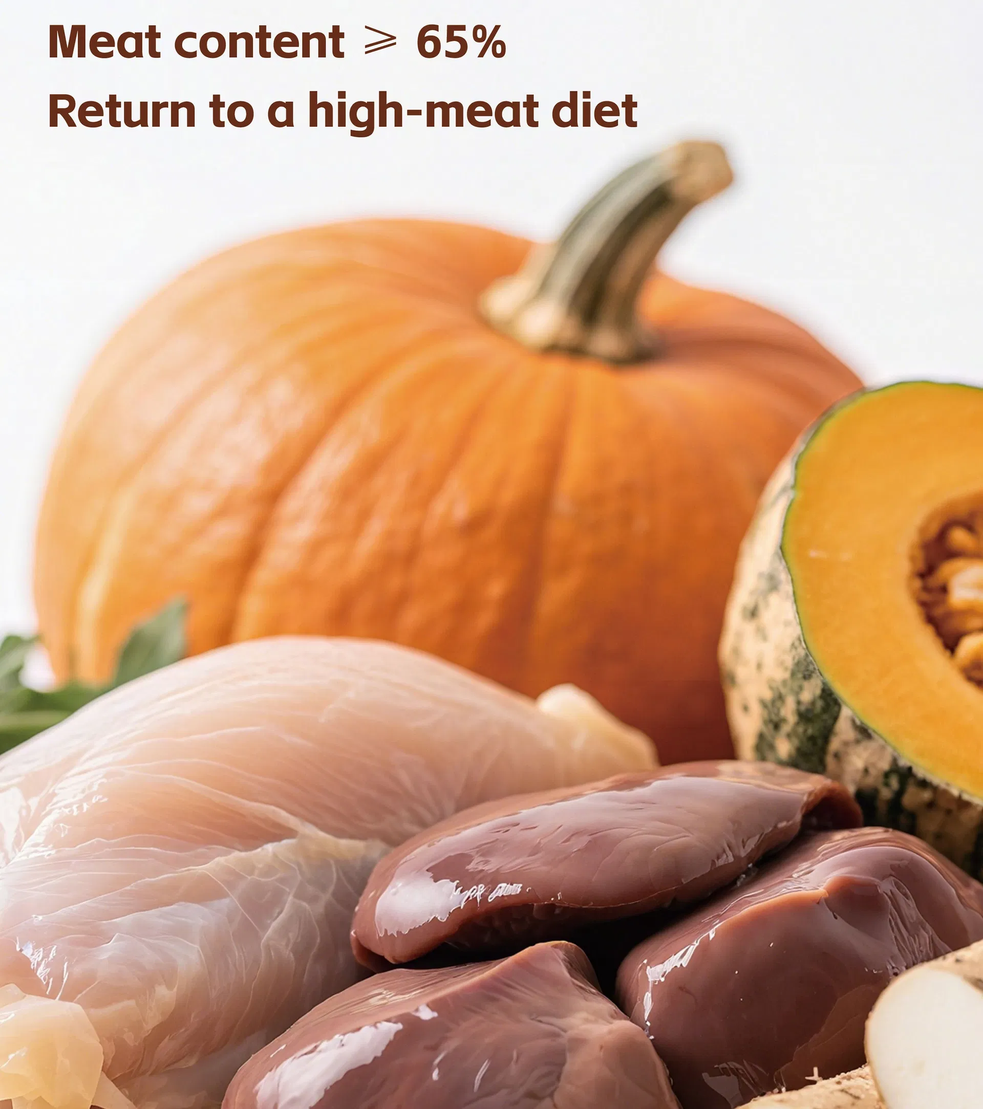 Cat and Dog Meat Protein Pet Snacks Cat Food and Bars