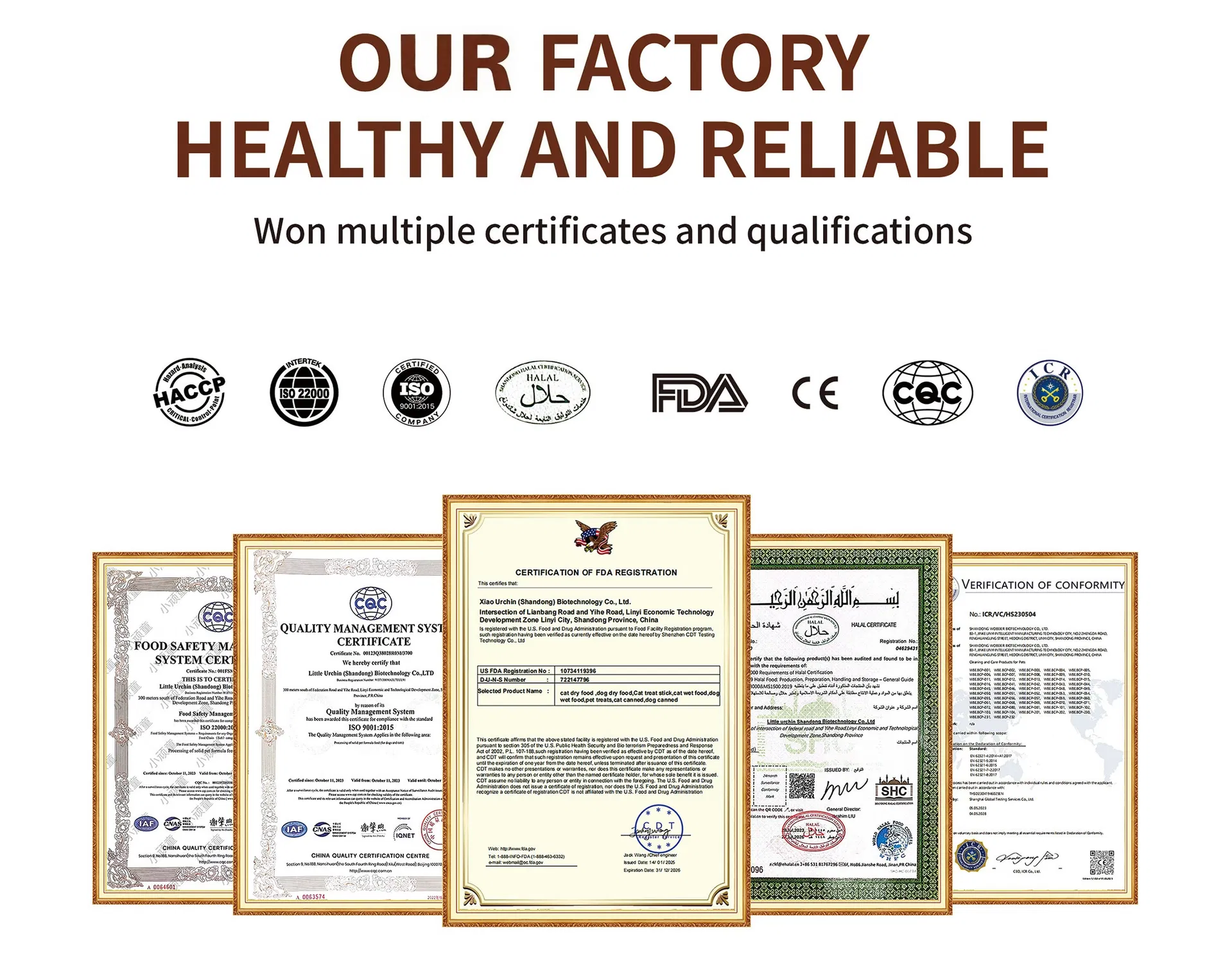 Cat and Dog Meat Protein Pet Snacks Cat Food and Bars