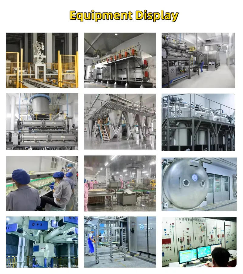 Cat and Dog Meat Protein Pet Snacks Cat Food and Bars