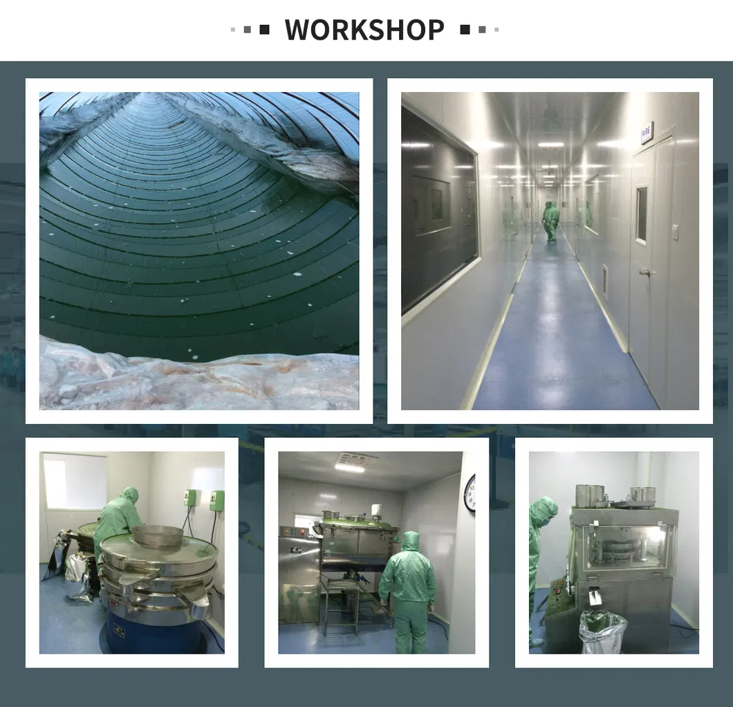 Premium Spirulina Extract Phycocyanin E18 - Pure Blue Powder