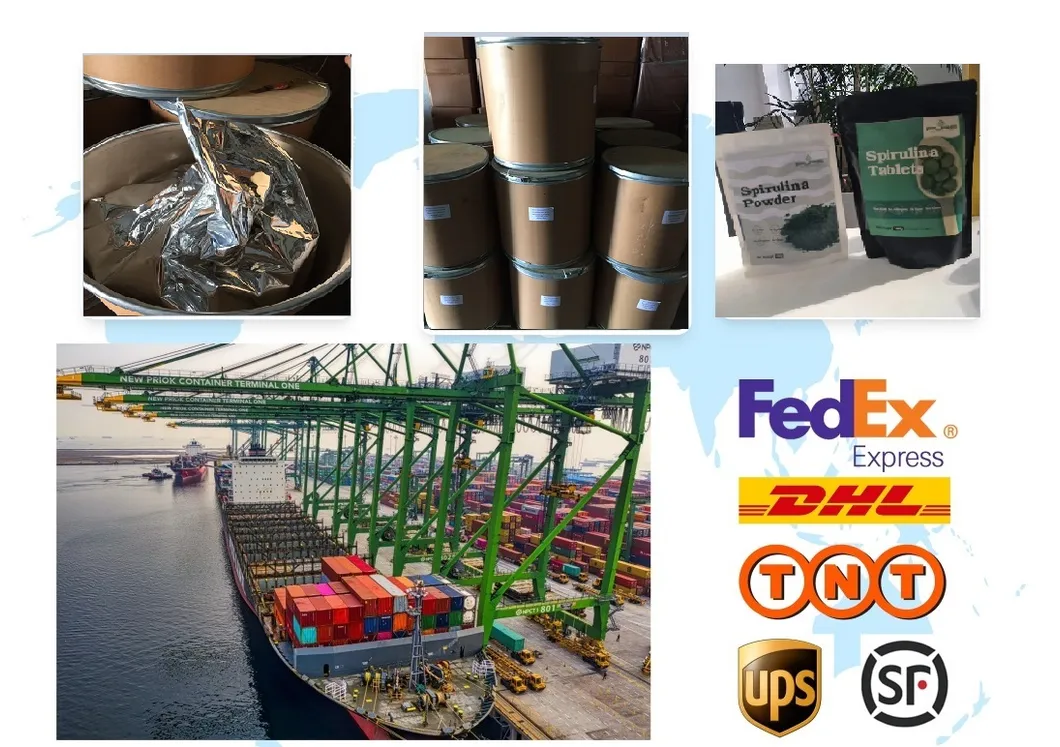 Premium Spirulina Extract Phycocyanin E18 - Pure Blue Powder