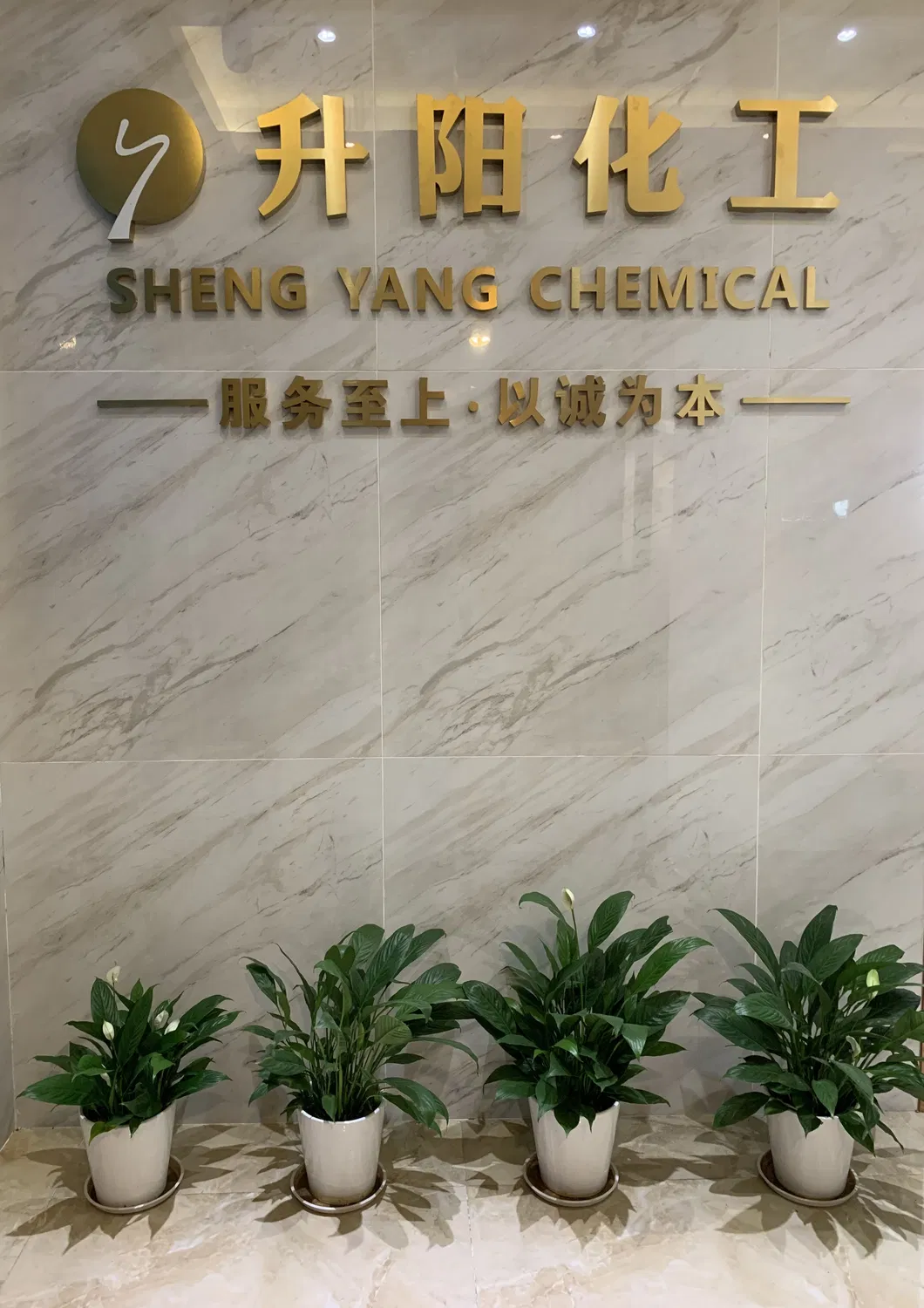 Dextrose Monohydrate, D-Glucose, Glucose, Hot Selling D-Glucose Monohydrate CAS 5996-10-1 Low Price